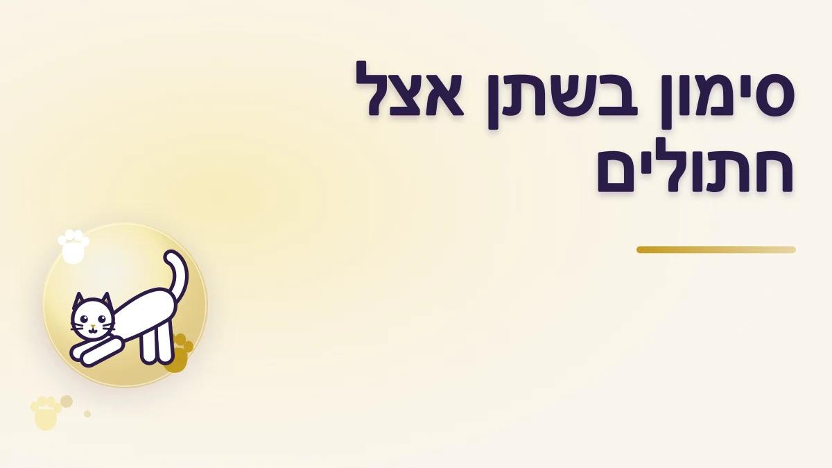 סימון בשתן אצל חתולים: מה עשוי לגרום לכך