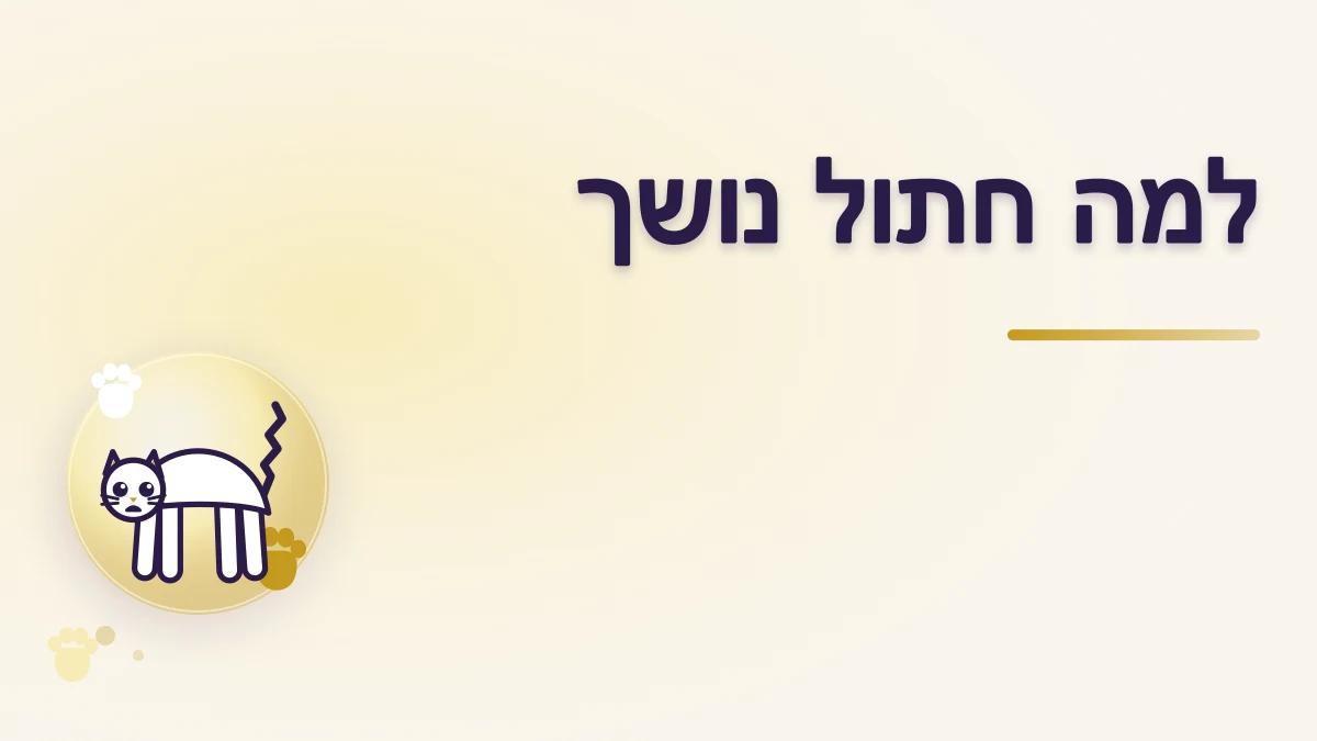 למה חתול נושך בזמן ליטוף