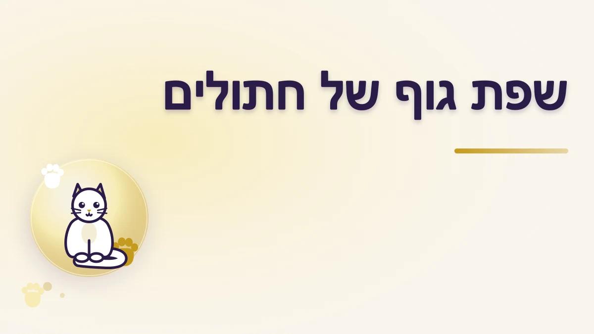 איך להבין שפת גוף של חתול