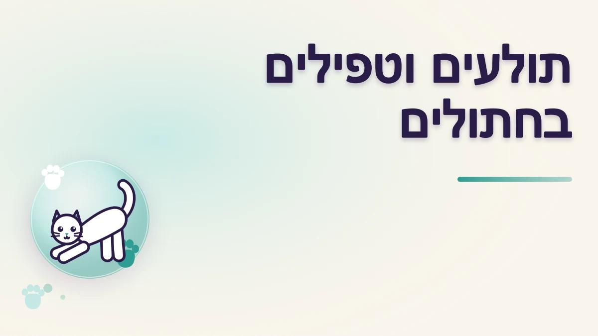 תולעים וטפילים בחתולים: מה כדאי לדעת