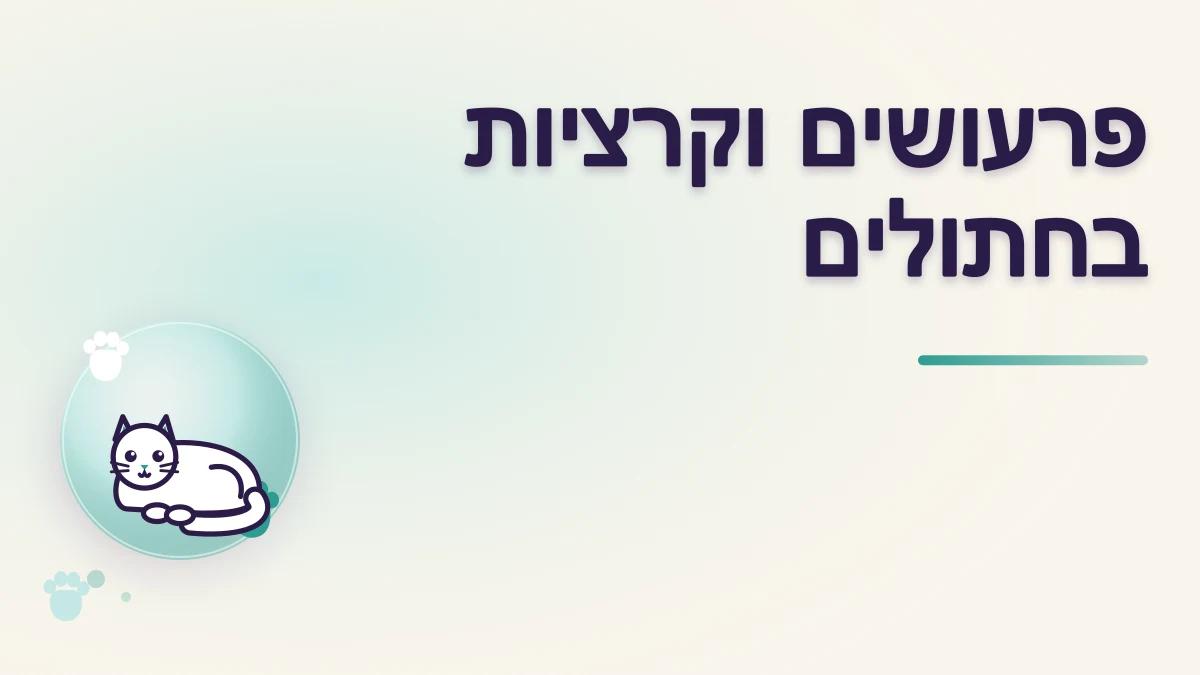 פרעושים וקרציות בחתולים: זיהוי ומניעה