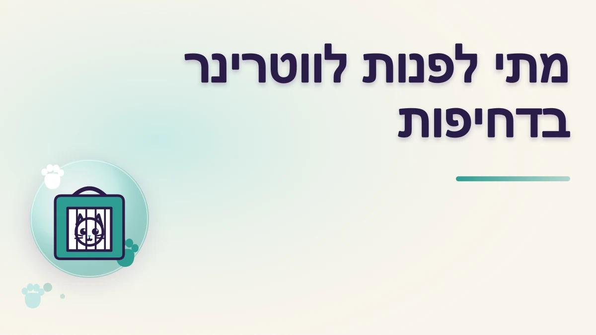 מתי מצב של חתול מחייב פנייה דחופה למרפאה