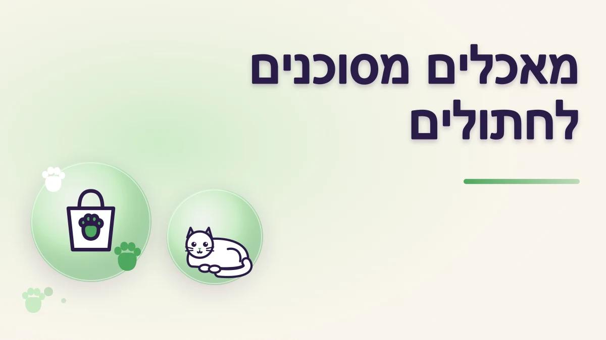 אילו מאכלים של בני אדם מסוכנים לחתולים