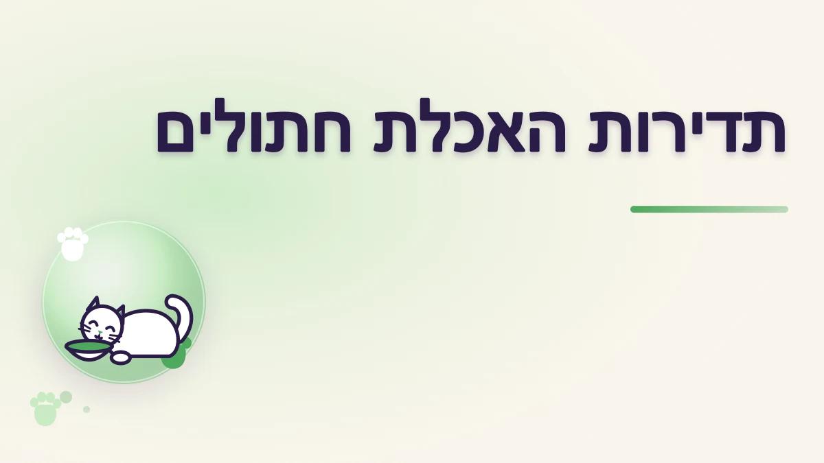 כמה פעמים ביום כדאי להאכיל חתול