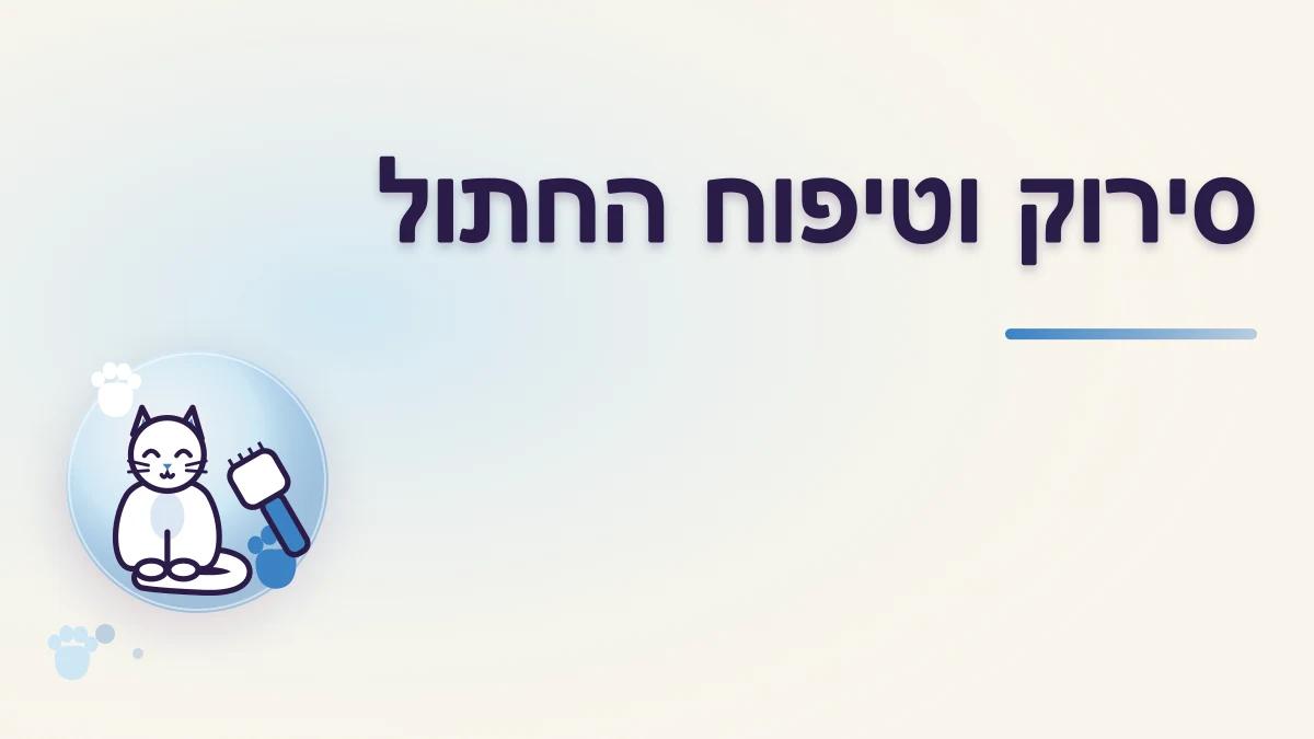 איך מסרקים חתול ומרגילים אותו לטיפוח