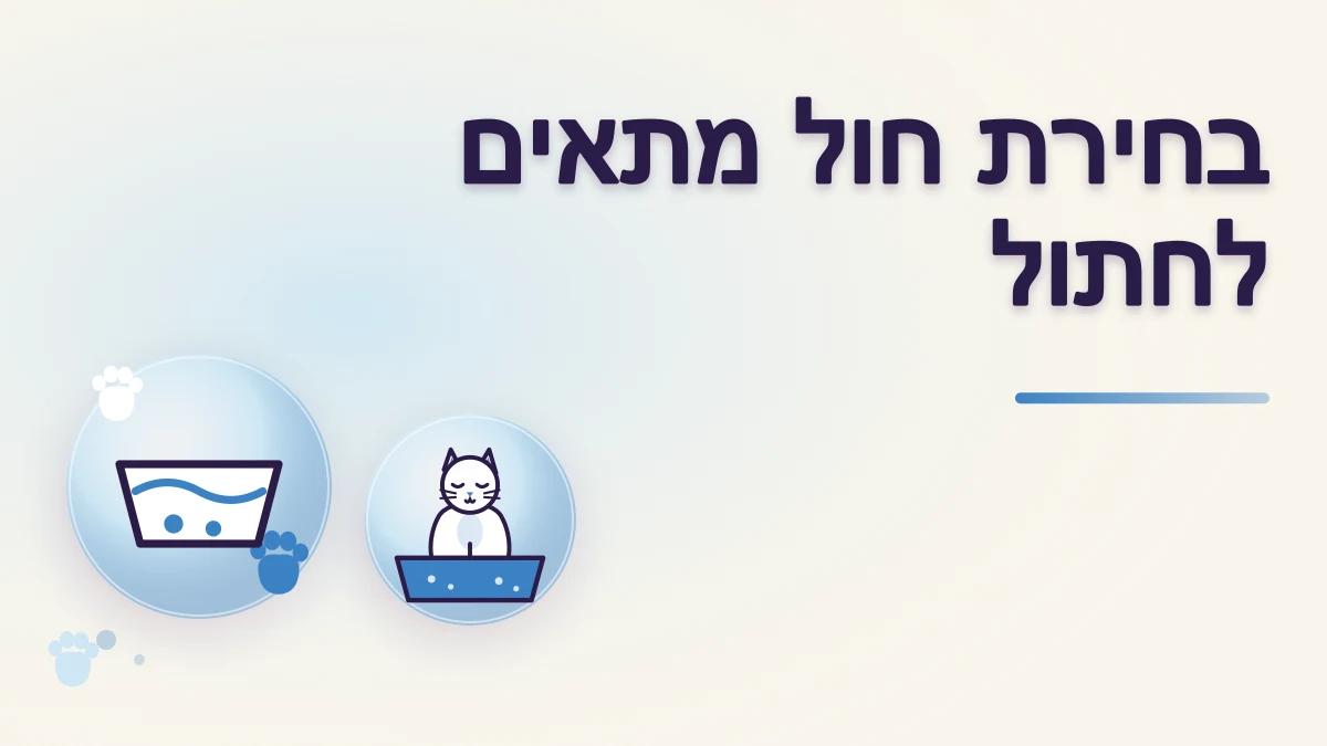 איך בוחרים חול שמתאים לחתול ולבית