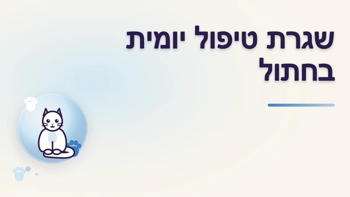 שגרת טיפול יומית בחתול: מה באמת צריך לעשות