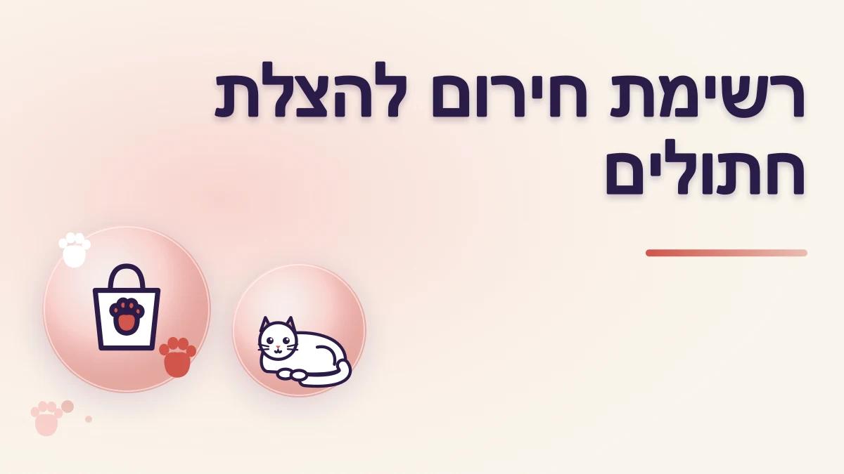 איך מכינים רשימת אנשי קשר ומרפאות חירום להצלת חתולים