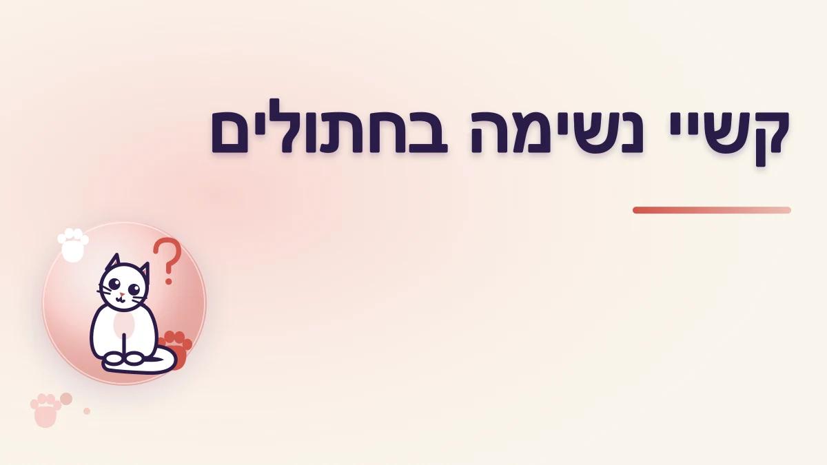 חתול מתקשה לנשום: למה זה מצב דחוף