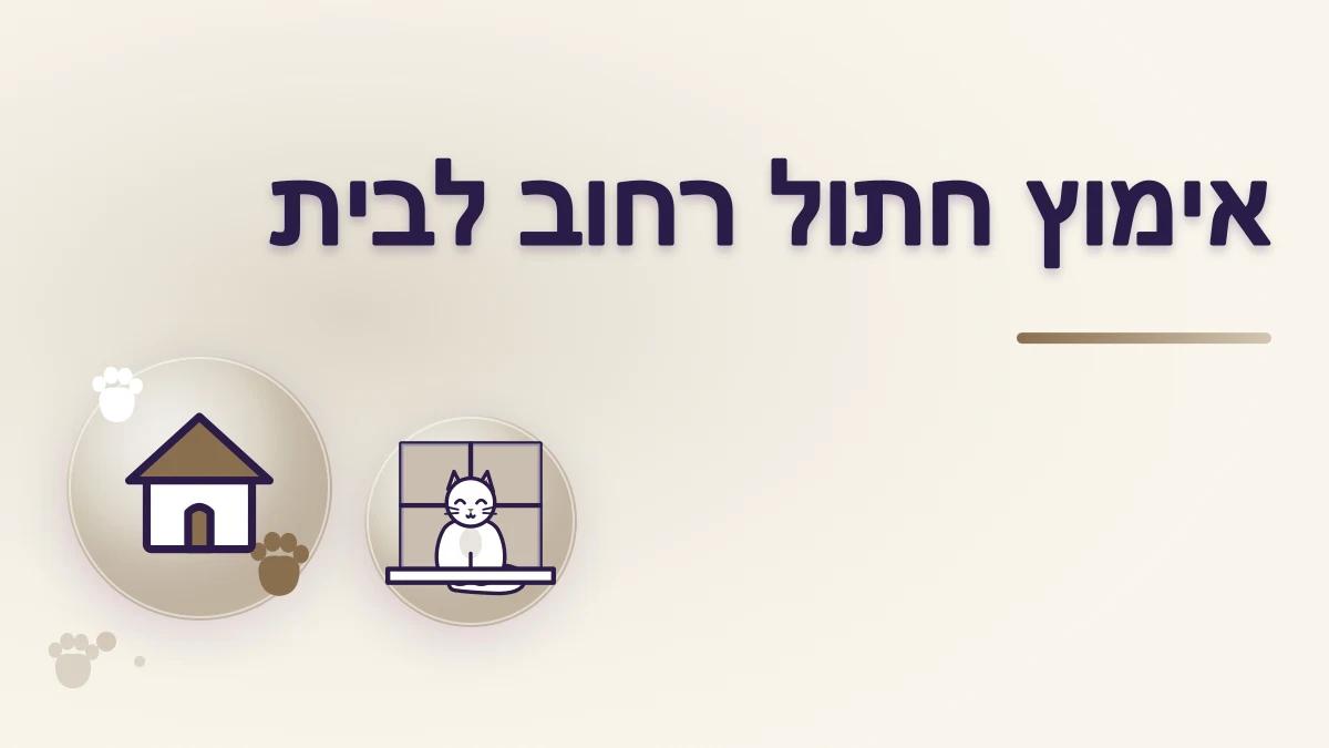 האם כל חתול רחוב מתאים לאימוץ ביתי?