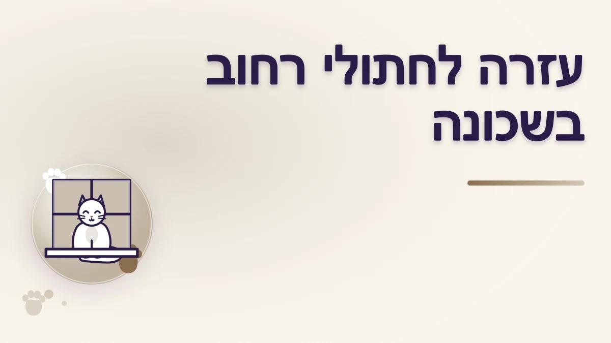 איך אפשר לעזור לחתולי רחוב בשכונה