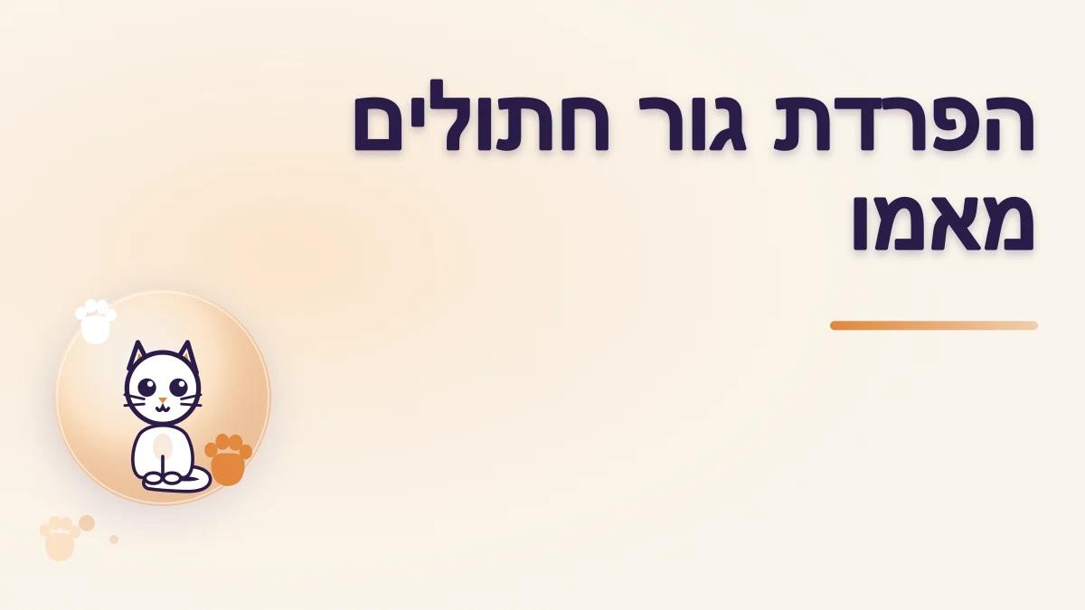 מתי אפשר להפריד גור חתולים מאמו ומאחיו