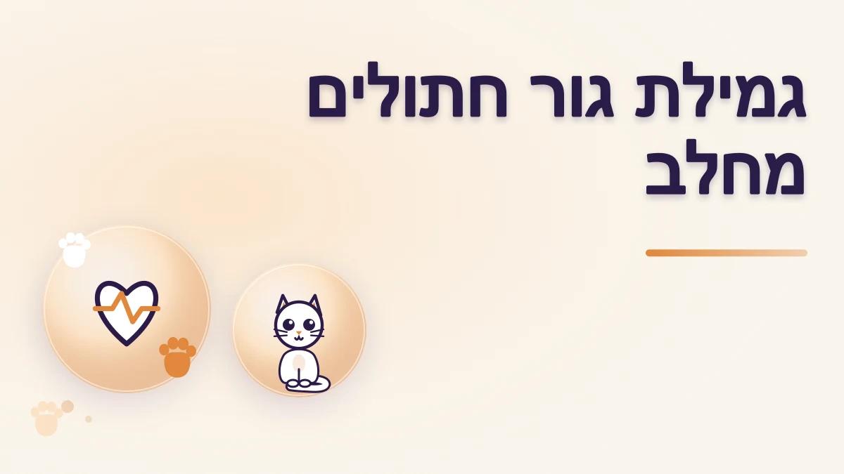 מתי ואיך גומלים גור חתולים מחלב