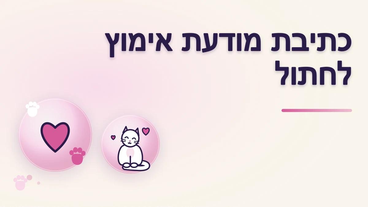 איך מצלמים וכותבים מודעת אימוץ טובה לחתול אומנה