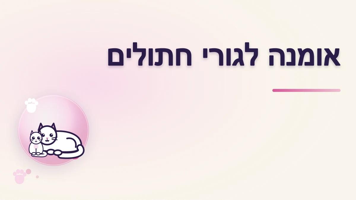 אומנה לגורי חתולים: מה חשוב לדעת לפני שמתחייבים