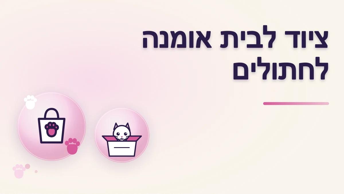 איזה ציוד צריך לבית אומנה לחתולים
