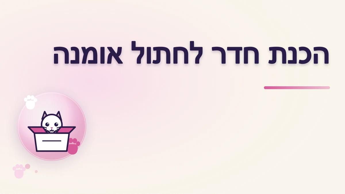 איך להכין חדר בטוח לחתול אומנה