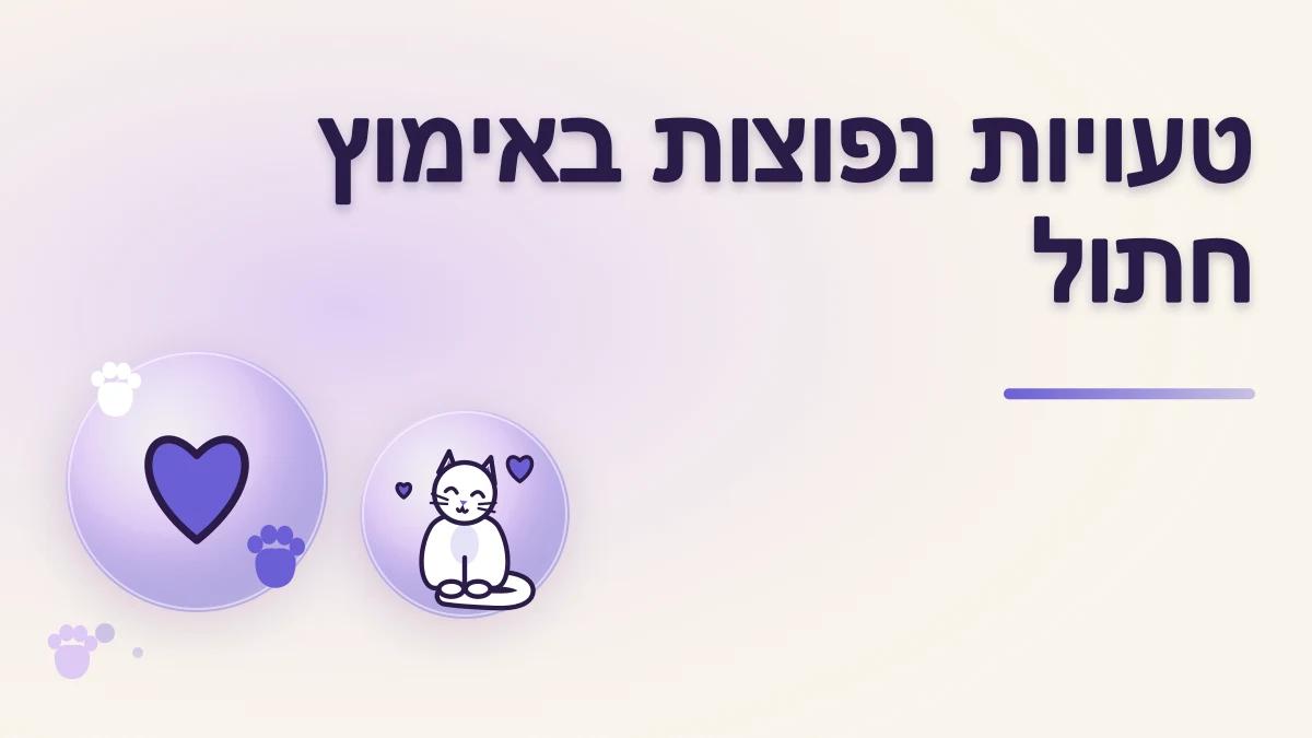 טעויות נפוצות אחרי אימוץ חתול ואיך להימנע מהן