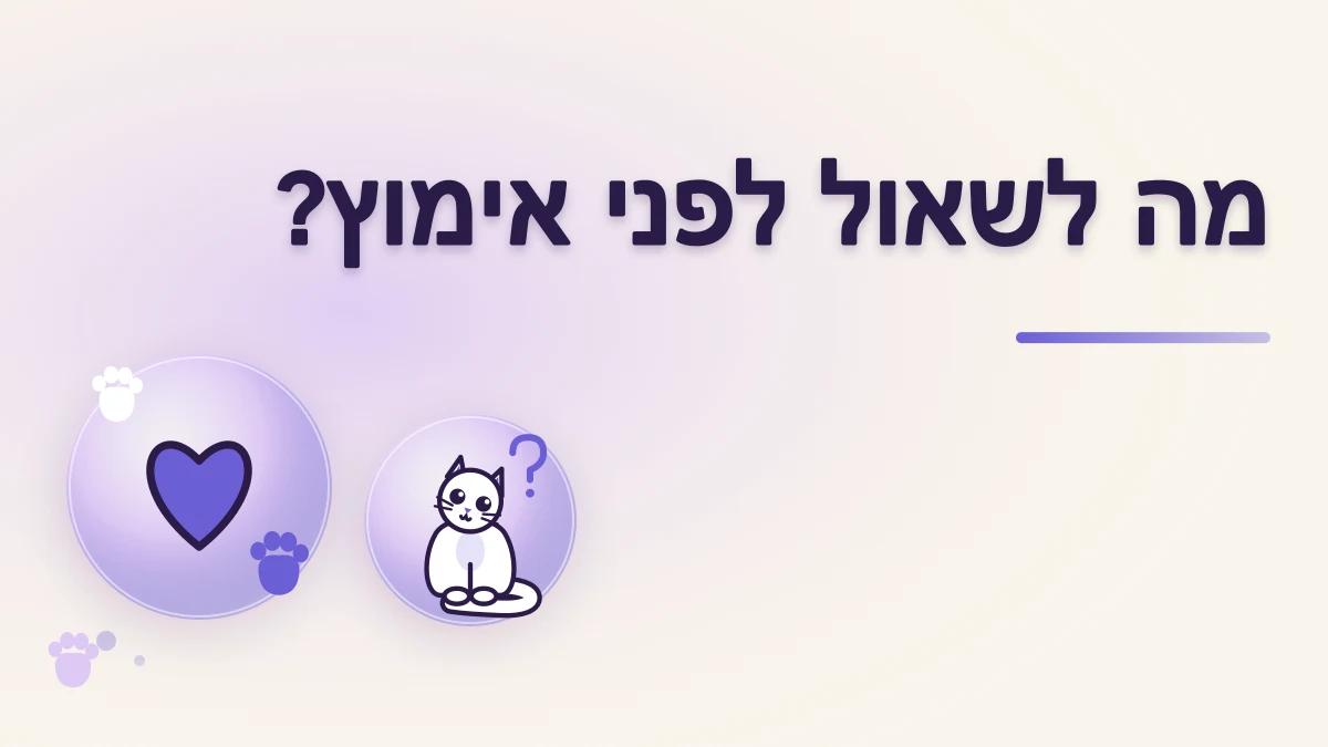 אילו שאלות לשאול לפני שמאמצים חתול מעמותה או מאדם פרטי