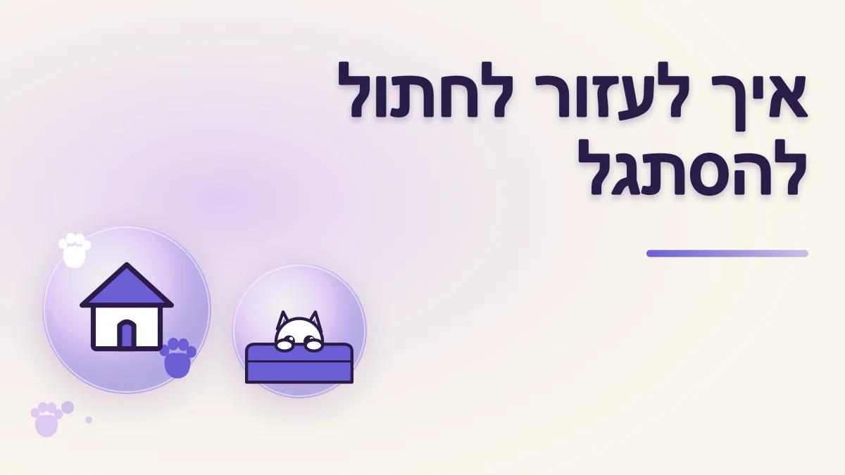 חתול מאומץ מתחבא ולא יוצא: איך לעזור לו להסתגל