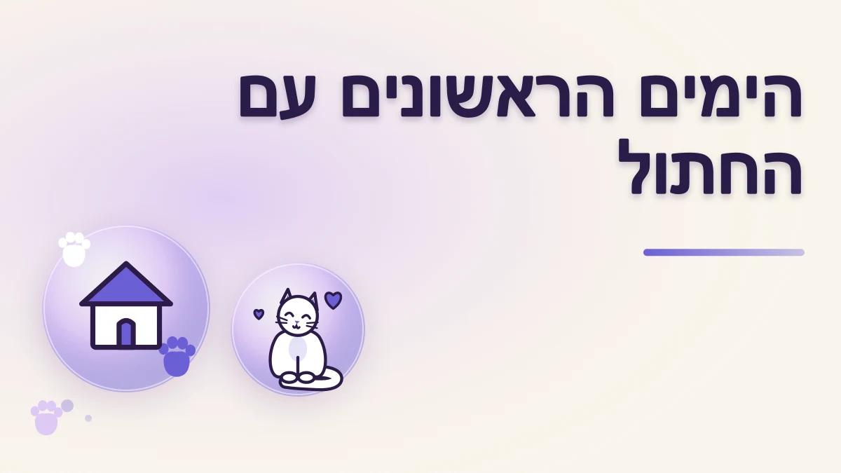 הימים הראשונים עם חתול מאומץ: מדריך צעד אחר צעד