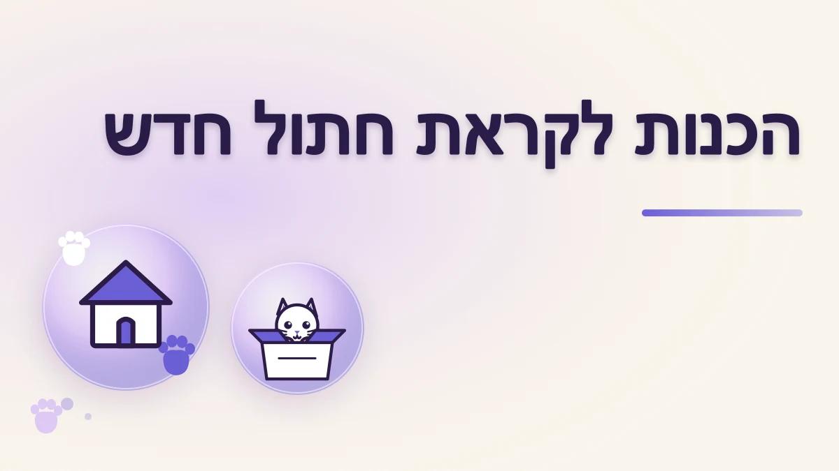 מה צריך להכין לפני שמביאים חתול הביתה