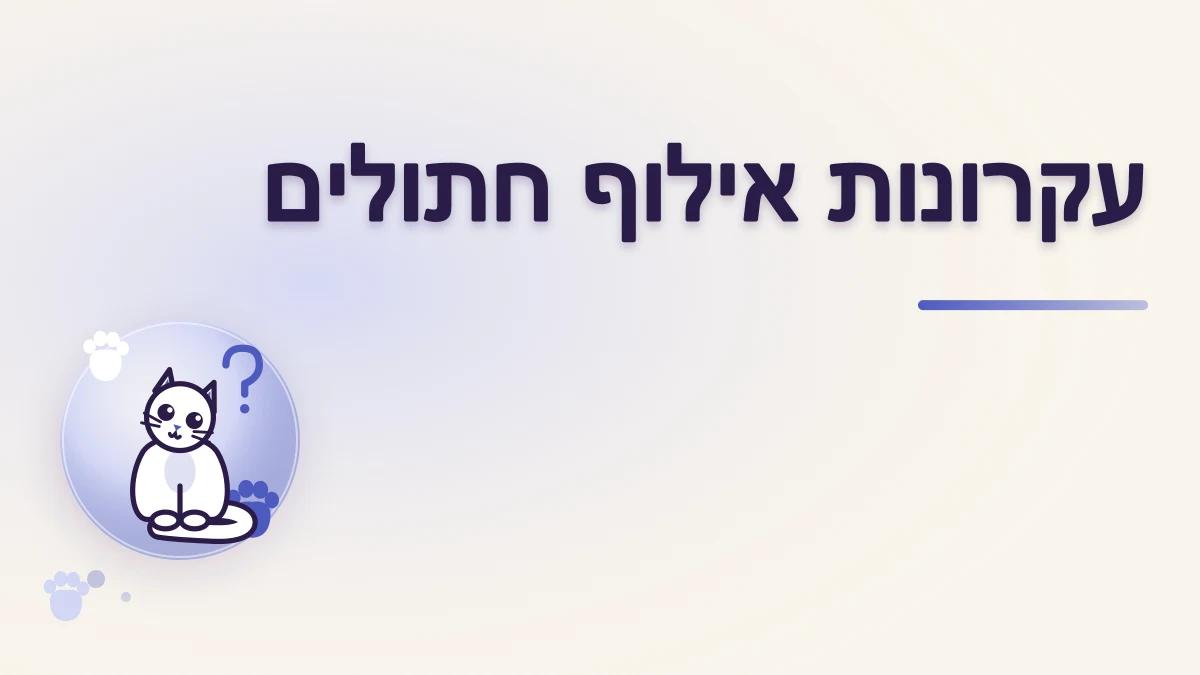 האם אפשר לאלף חתול? עקרונות בסיסיים
