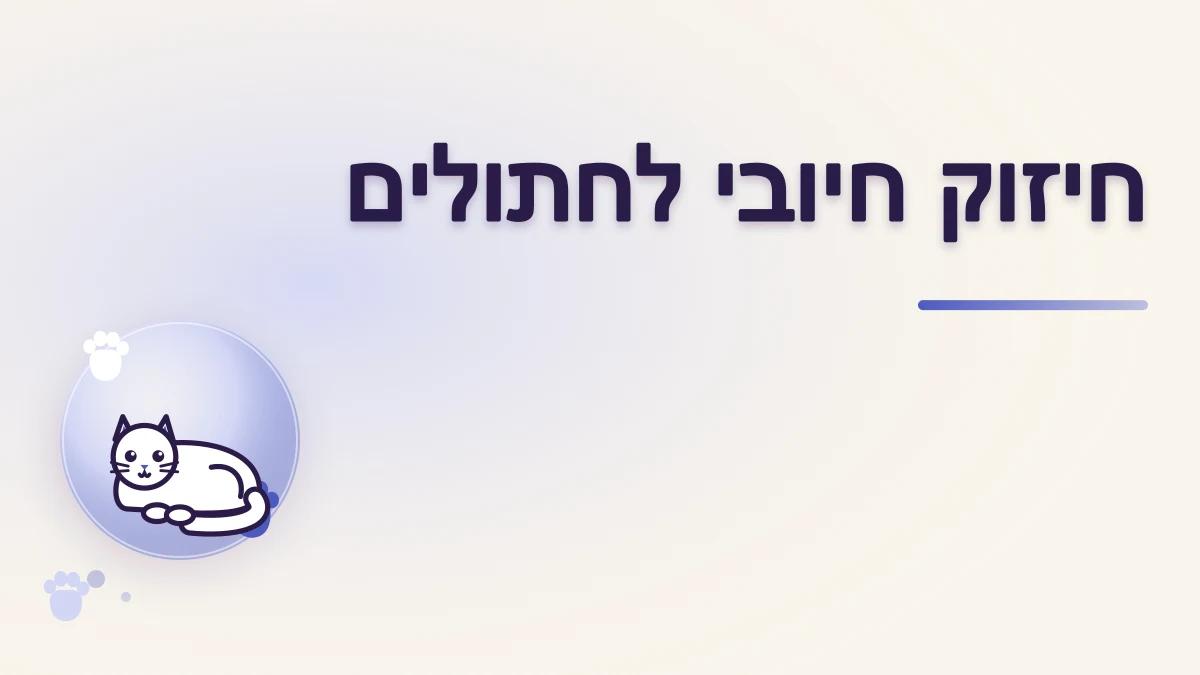 איך משתמשים בחיזוק חיובי עם חתולים