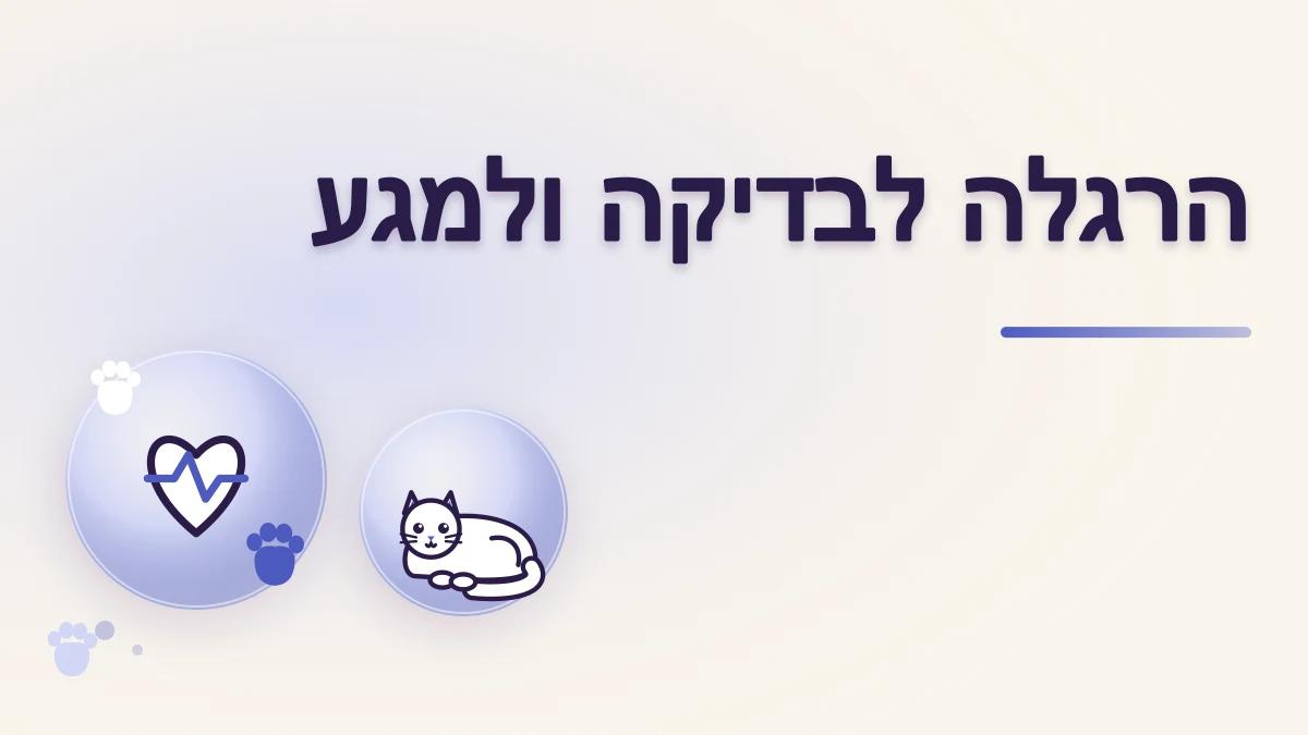 איך מרגילים חתול לבדיקה ולמגע בכפות