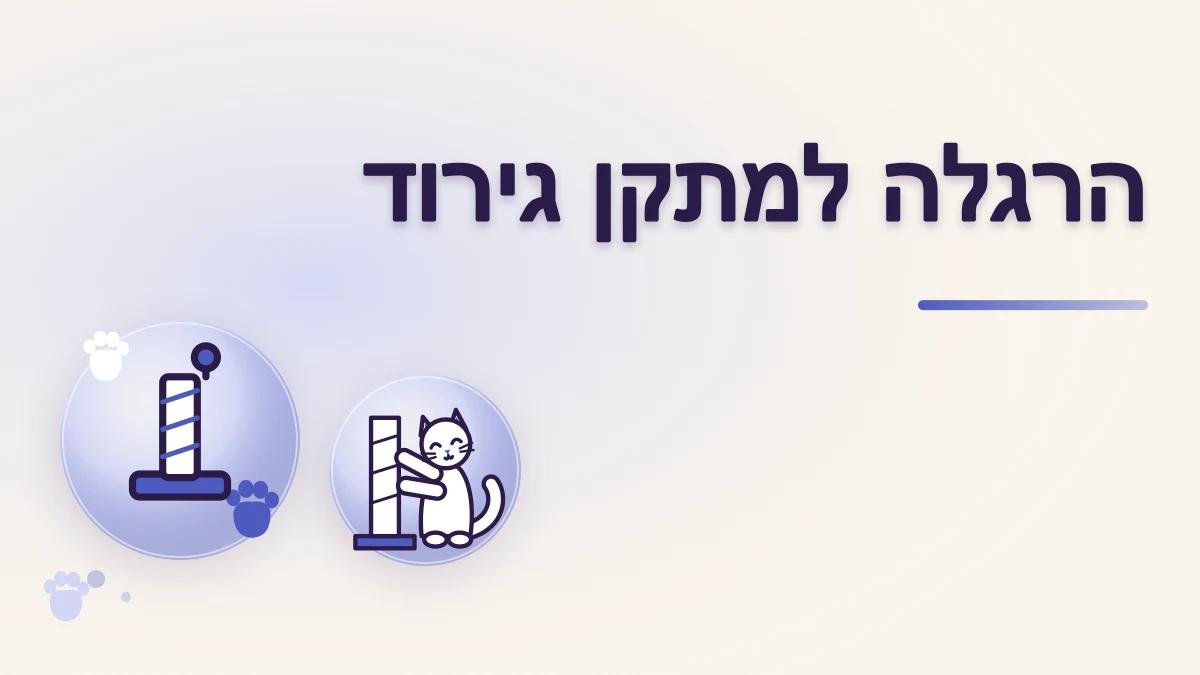 איך מלמדים חתול להשתמש במתקן גירוד