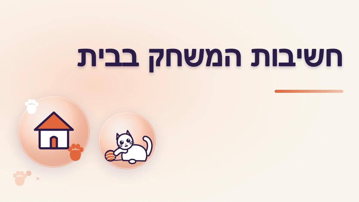 למה חתולים צריכים משחק גם בבית