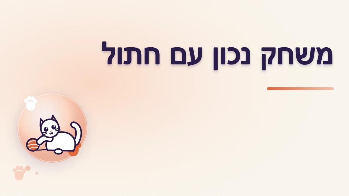 איך משחקים עם חתול בצורה שמתאימה לו