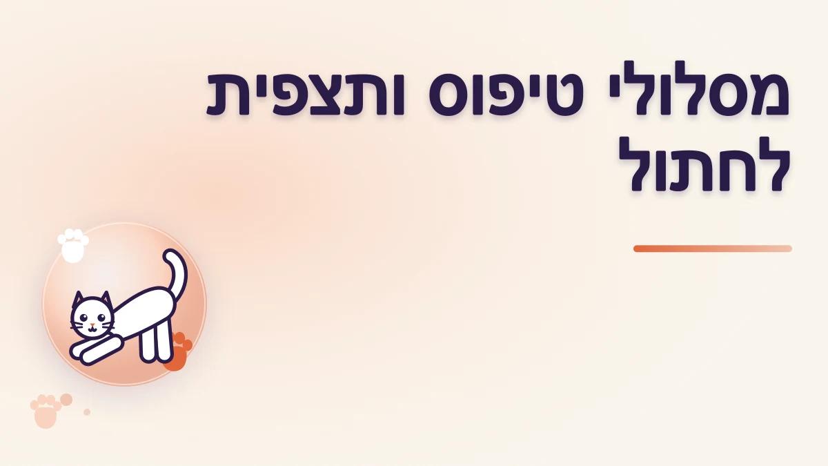 איך יוצרים מסלולי טיפוס ומקומות תצפית