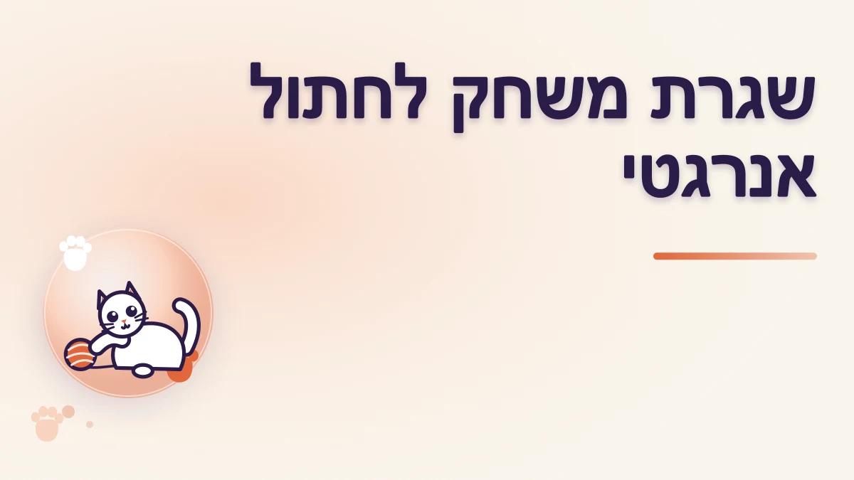 איך בונים שגרת משחק לחתול אנרגטי