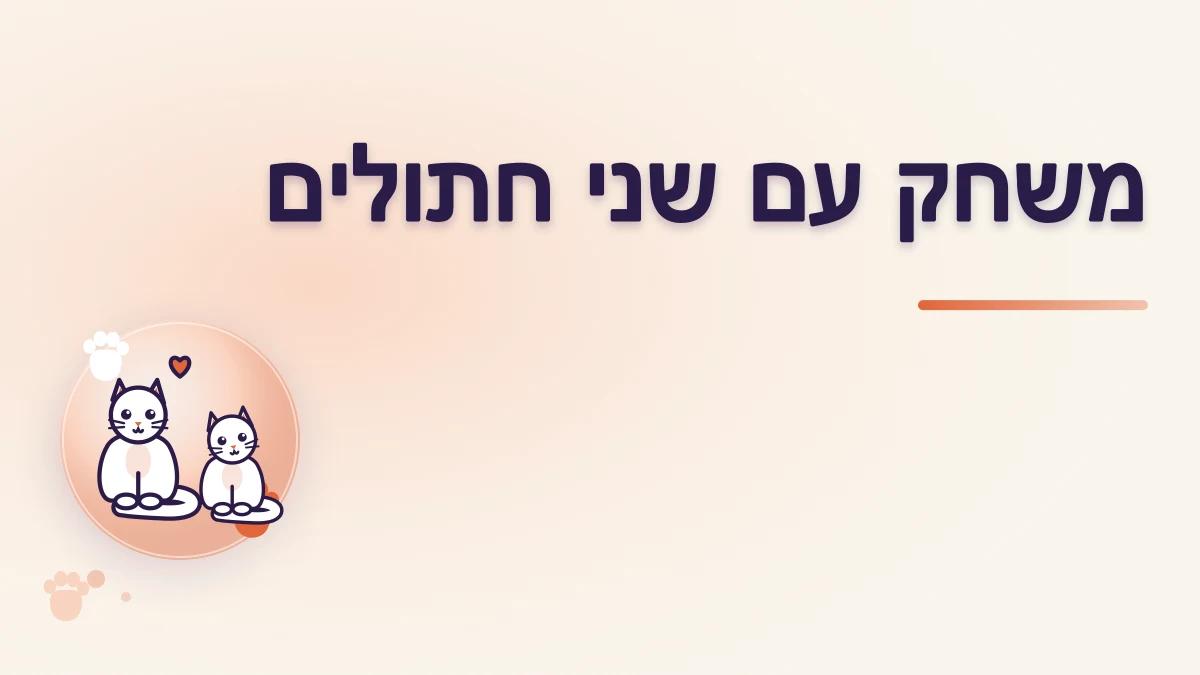 משחק עם שני חתולים: איך דואגים ששניהם ישתתפו