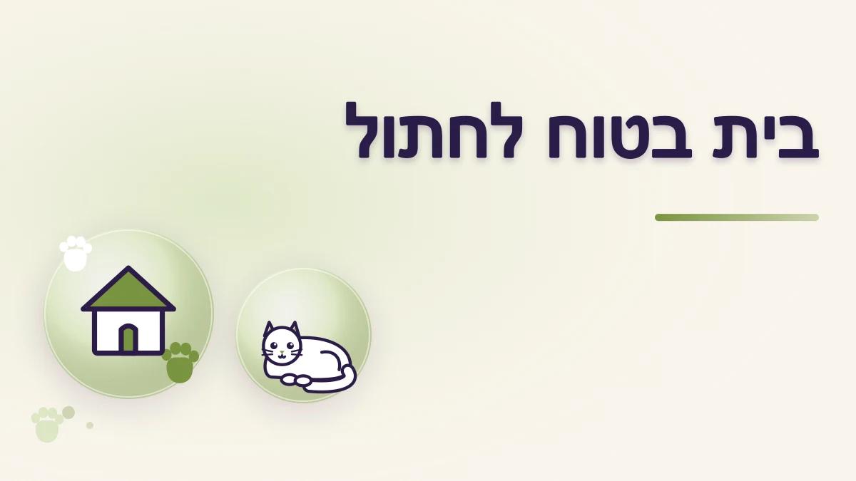 איך הופכים דירה לבית בטוח לחתול