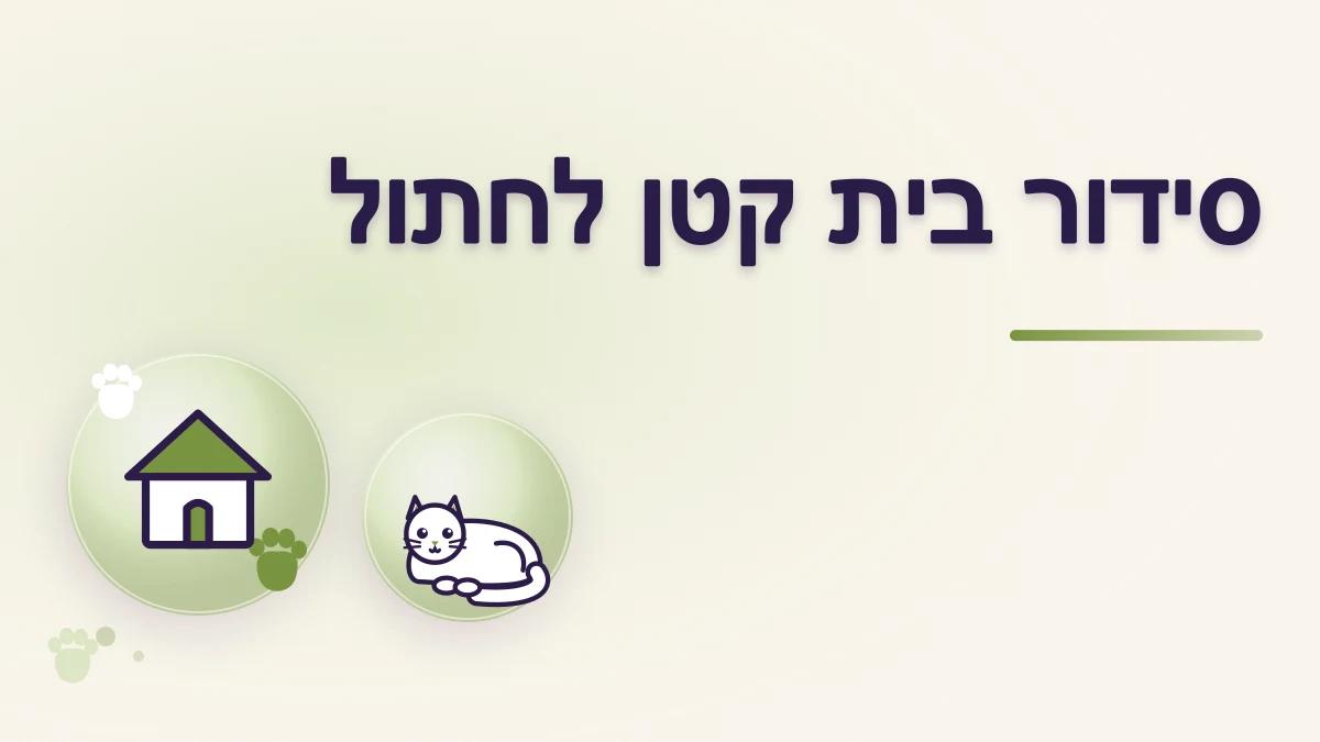 איך מסדרים בית קטן כך שיתאים לחתול