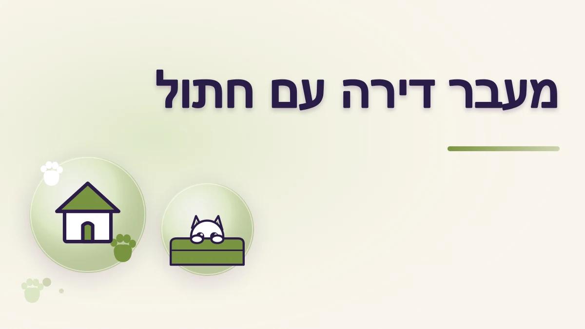 מעבר דירה עם חתול: הכנה והסתגלות