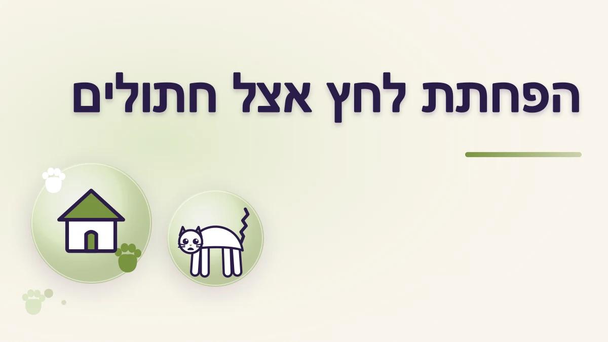 שיפוצים ואורחים בבית: איך מפחיתים לחץ אצל חתול