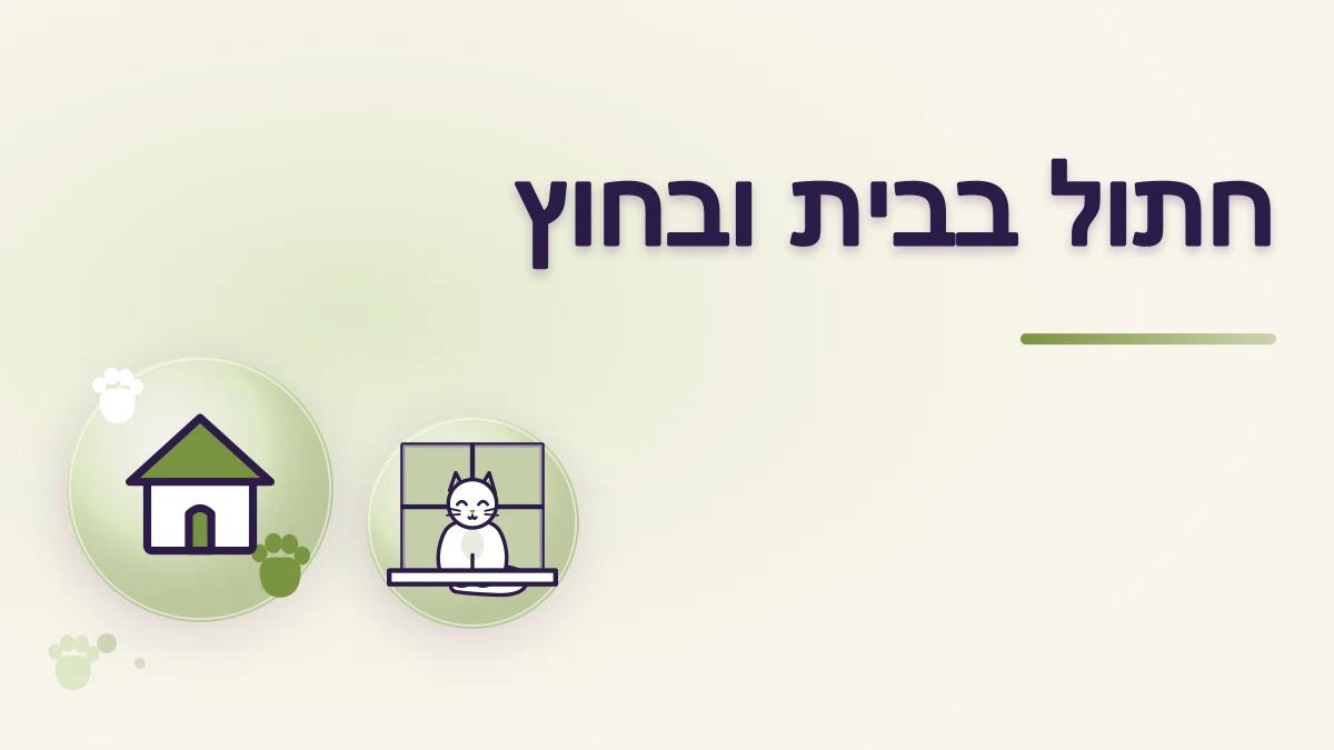 חתול בבית ובחוץ: סיכונים ושיקולים