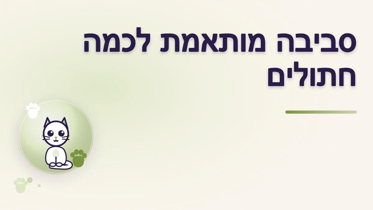 איך יוצרים סביבת מגורים טובה לכמה חתולים