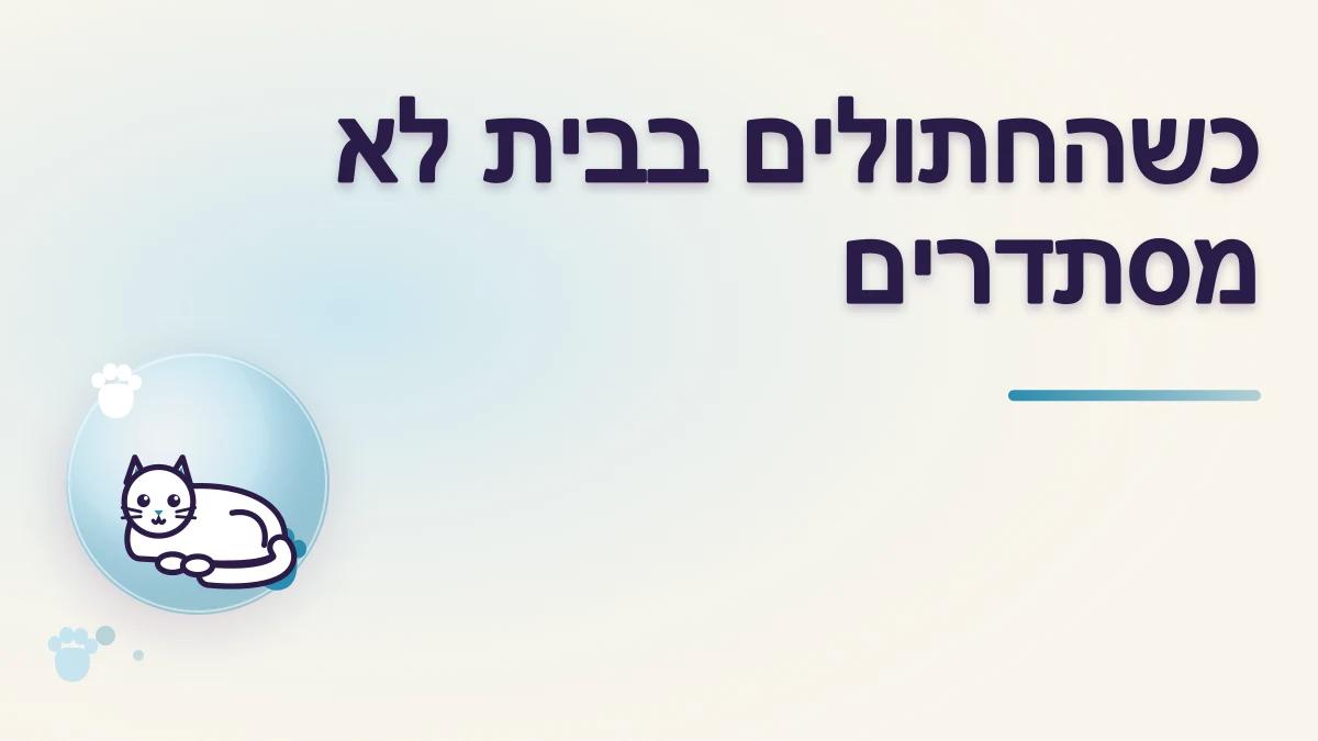 מה עושים כשחתול חדש וחתול ותיק לא מסתדרים