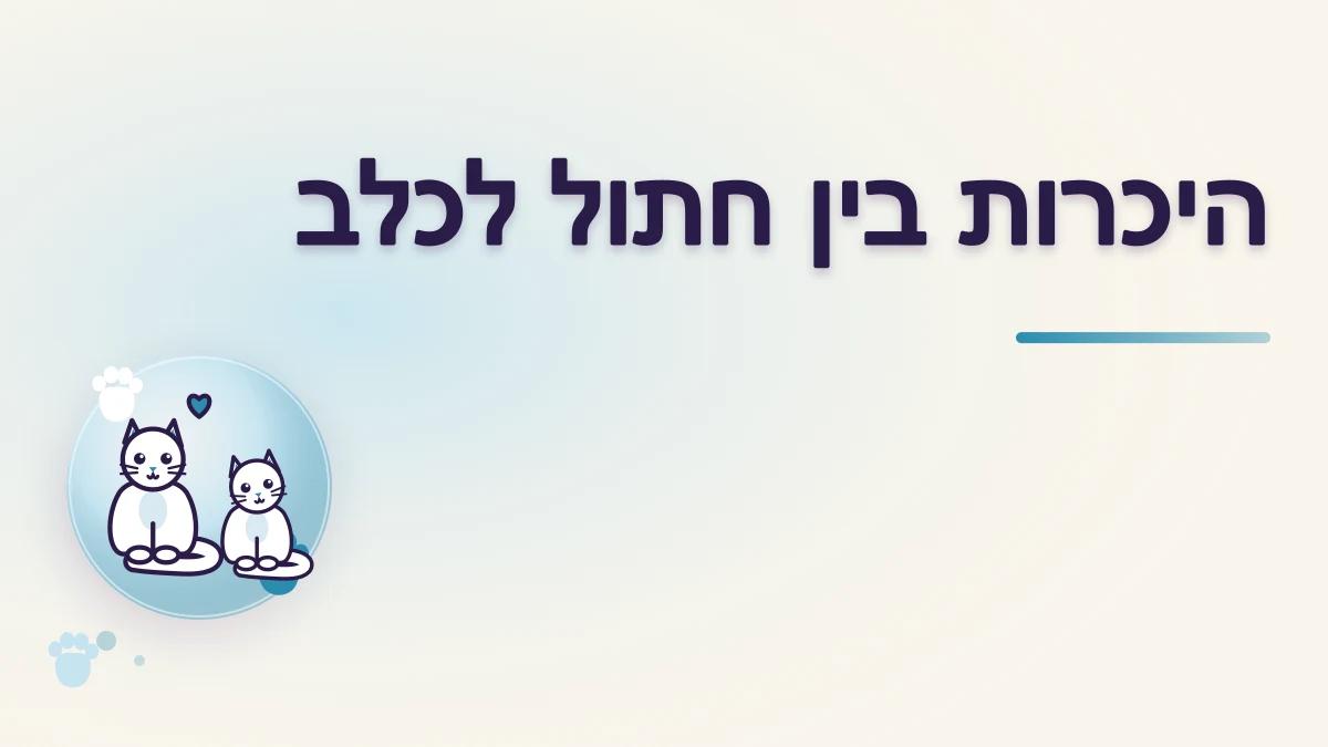 איך מכירים בין חתול לכלב