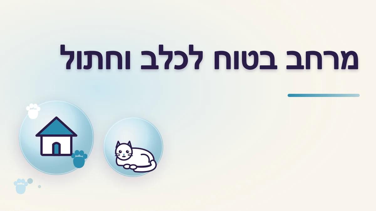 כלב וחתול באותו בית: איך דואגים למרחב בטוח לשניהם