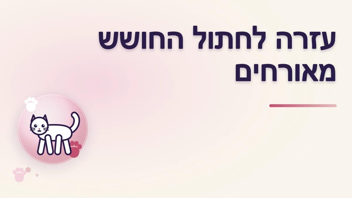 חתול חושש מאורחים: איך עוזרים לו