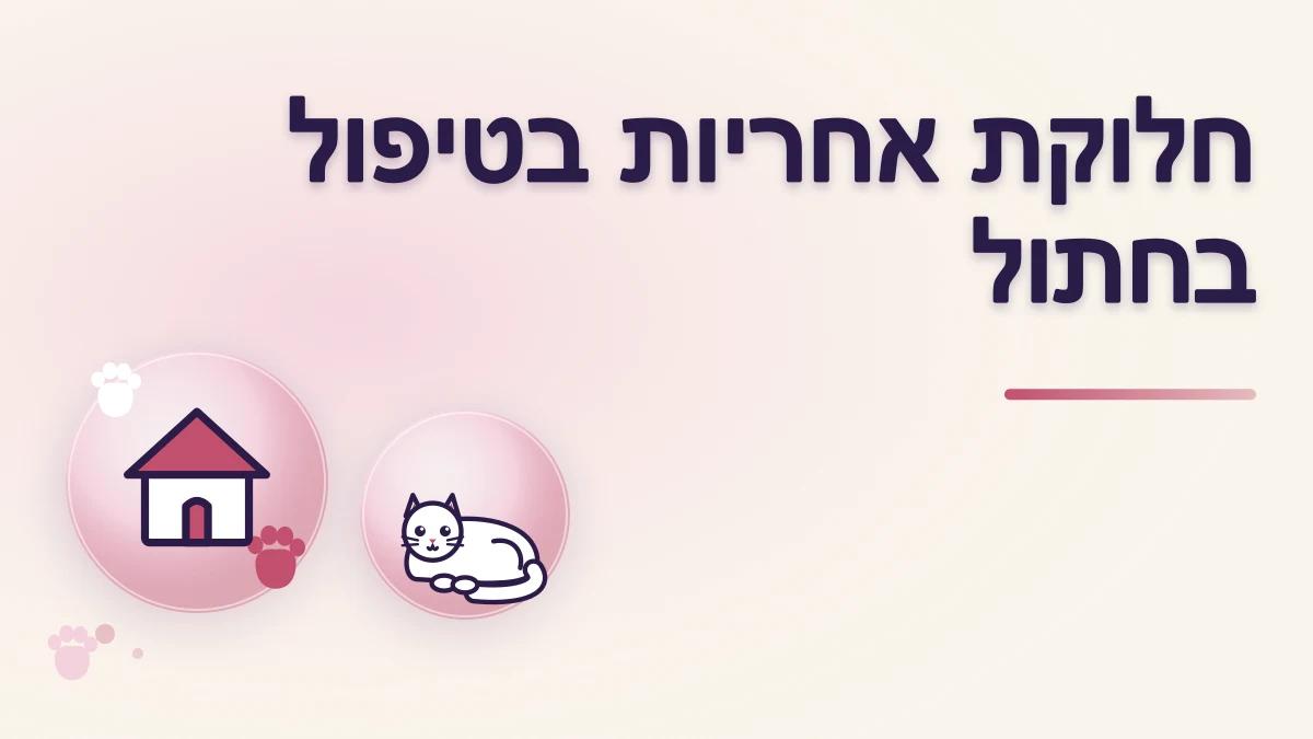 חלוקת אחריות על טיפול בחתול בין בני הבית