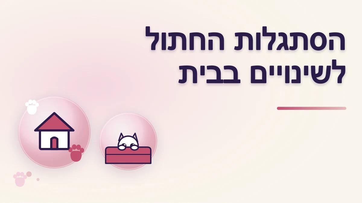 איך עוזרים לחתול להסתגל לשינוי בהרכב הבית