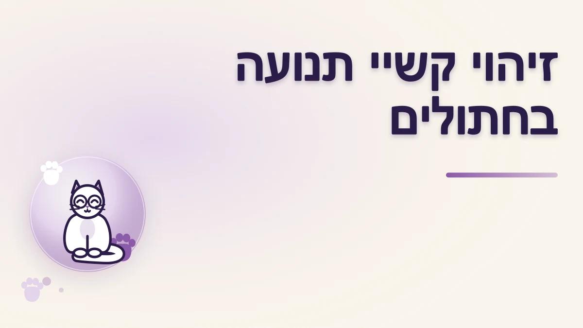איך מזהים קושי בתנועה אצל חתול מבוגר