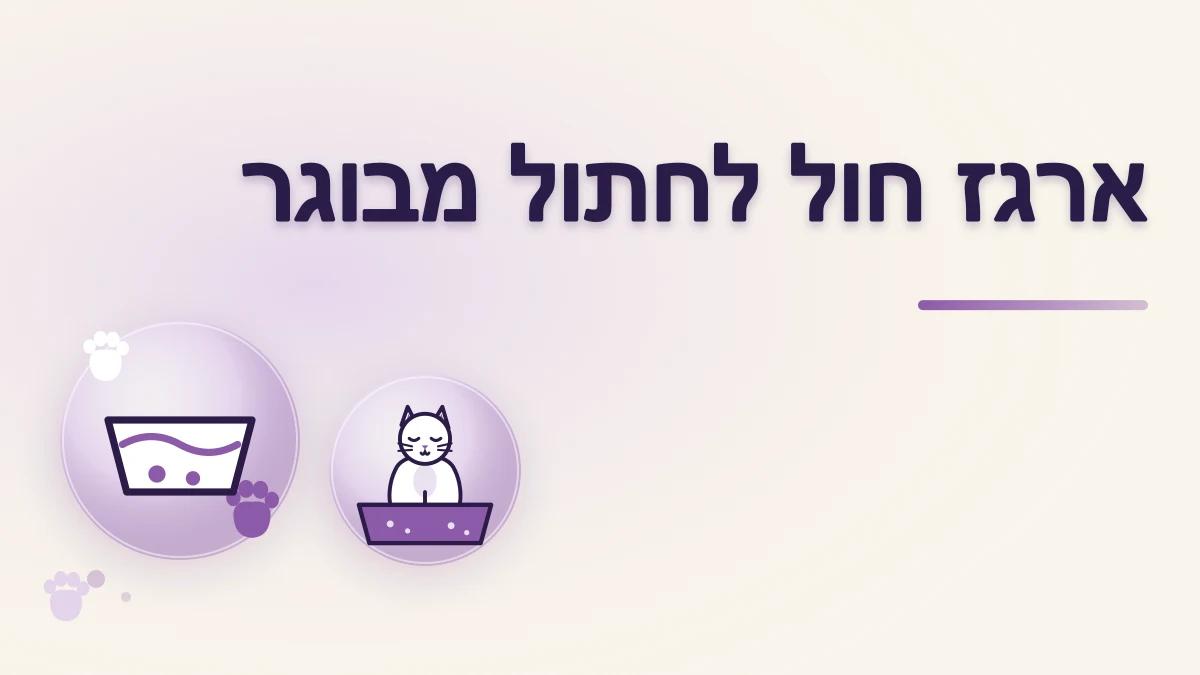 ארגז חול לחתול מבוגר: מיקום ונגישות