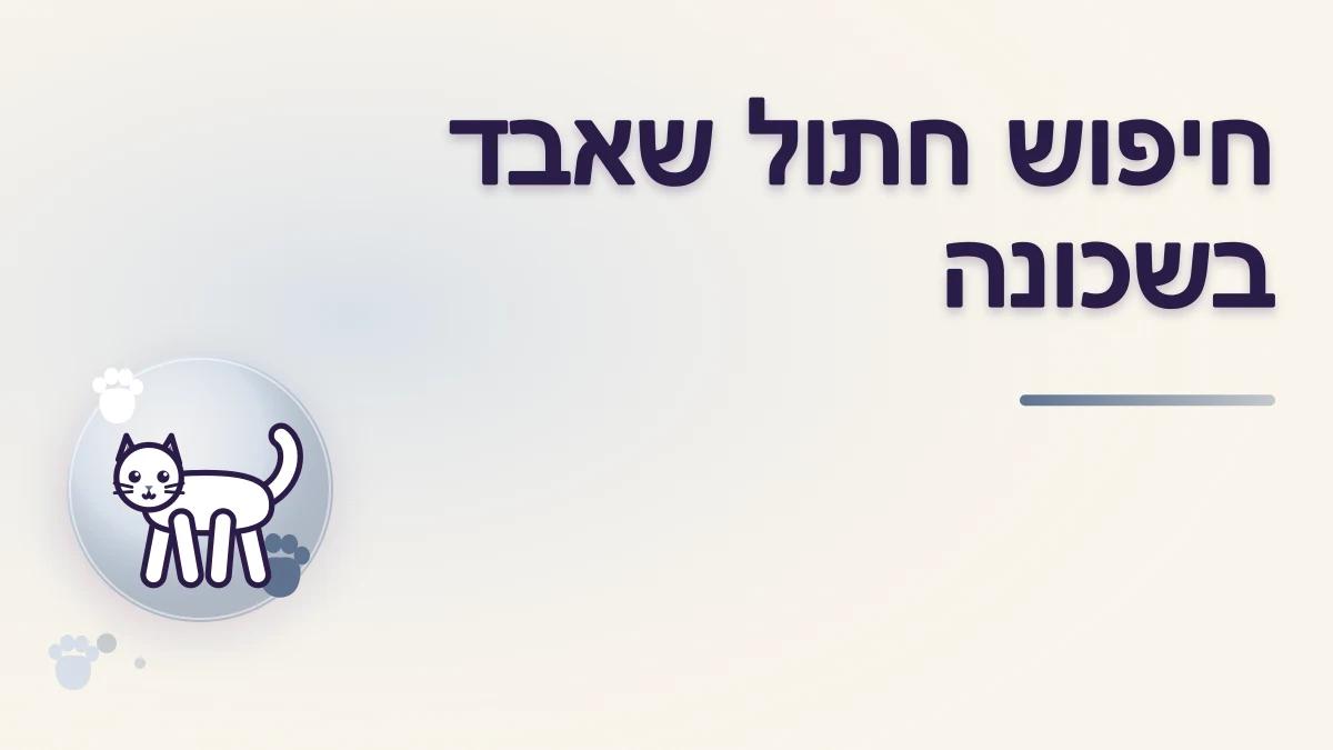 איך מחפשים חתול שאבד בשכונה